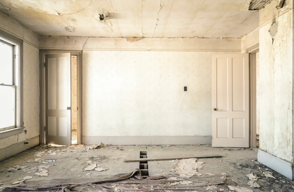 Waste disposal crew managing a cleanout project in New Braunfels